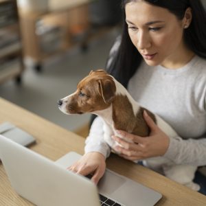 Coat, Skin & Grooming Guidance: Home Care Plan and Product Selection